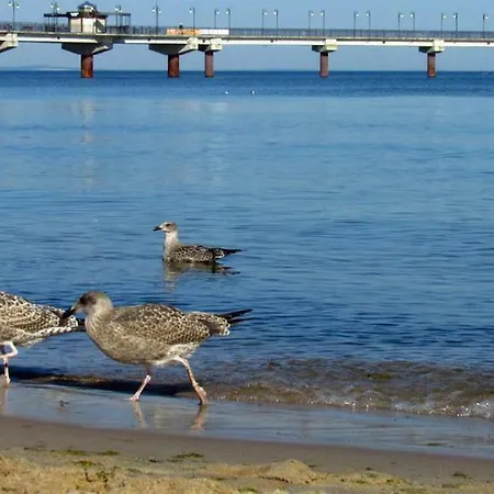 Apartmán Apartament Sunny Spa *